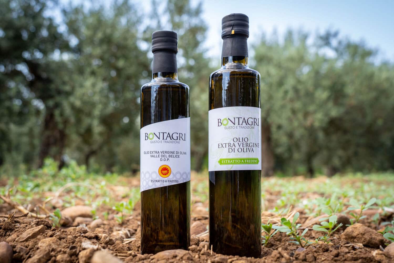 olio extravergine di oliva bontagri